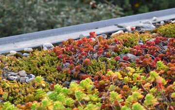 the cost of Oteley green roof installation