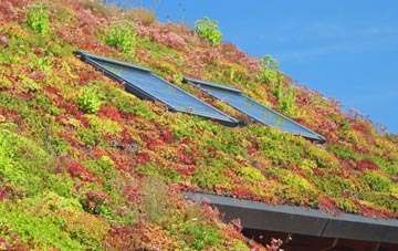 Oteley living roof systems